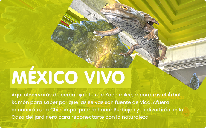 México Vivo