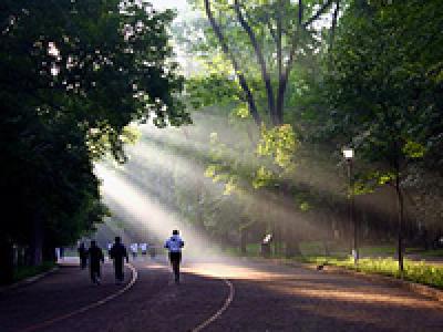 Bosque de Chapultepec